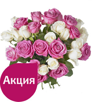 25 белых и розовых роз Белые и розовые розы 