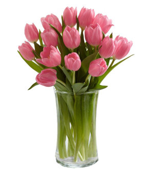 Розовые тюльпаны 19 тюльпанов
