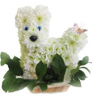 Собачка Игрушка из цветов