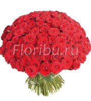 Букет 101 красных роз