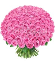Букет 101 розовых роз