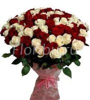 Бело-красные 51 розы