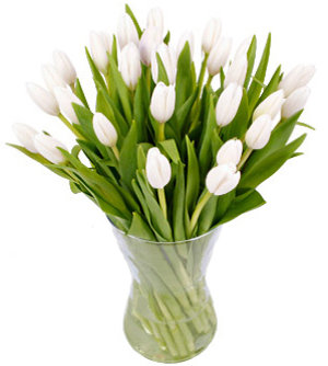 25 тюльпанов Белые тюльпаны