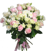 Бело-розовые розы 25 шт