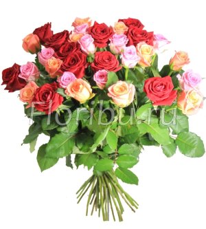 Букет &quot;Элеганс&quot; 35 роз Розы трех цветов