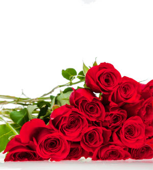 Длинные красные розы 70-80 см